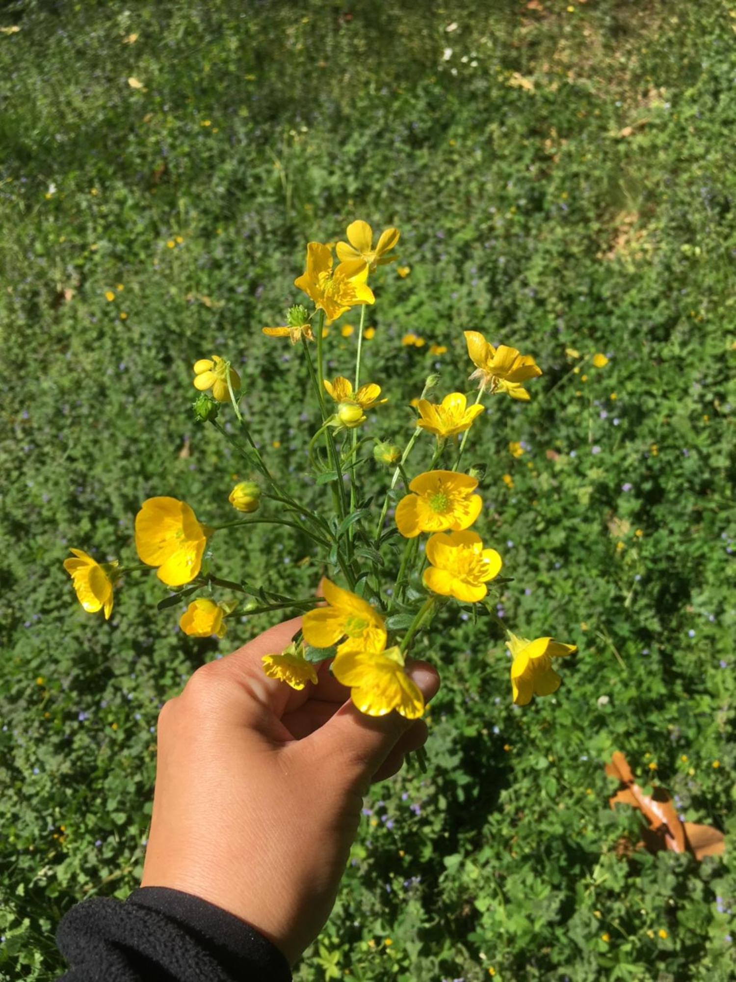 Agriturismo Barchessa Este Dış mekan fotoğraf